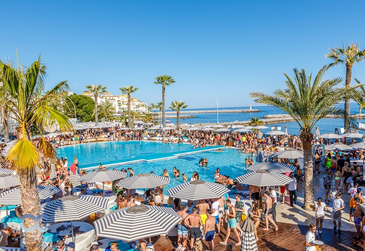 Ocean Club Marbella in Puerto Banus - Bed Prices & Bookings